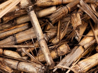 Najistočnija hrvatska županija istražuje mogućnosti proizvodnje biomase