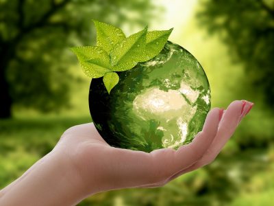 Svjetski dan zaštite okoliša