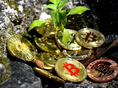 Konzultantska tvrtka za obnovljive izvore uvela plaćanje usluga kriptovalutama